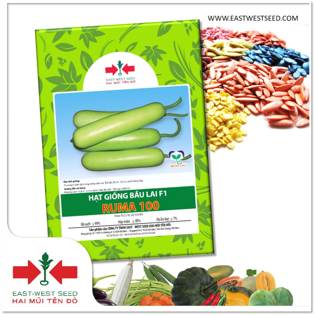 GÓI 100 HẠT GIỐNG BẦU LAI F1 RUMA 100 CỦA EAST-WEST SEED (HAI MŨI TÊN ĐỎ)