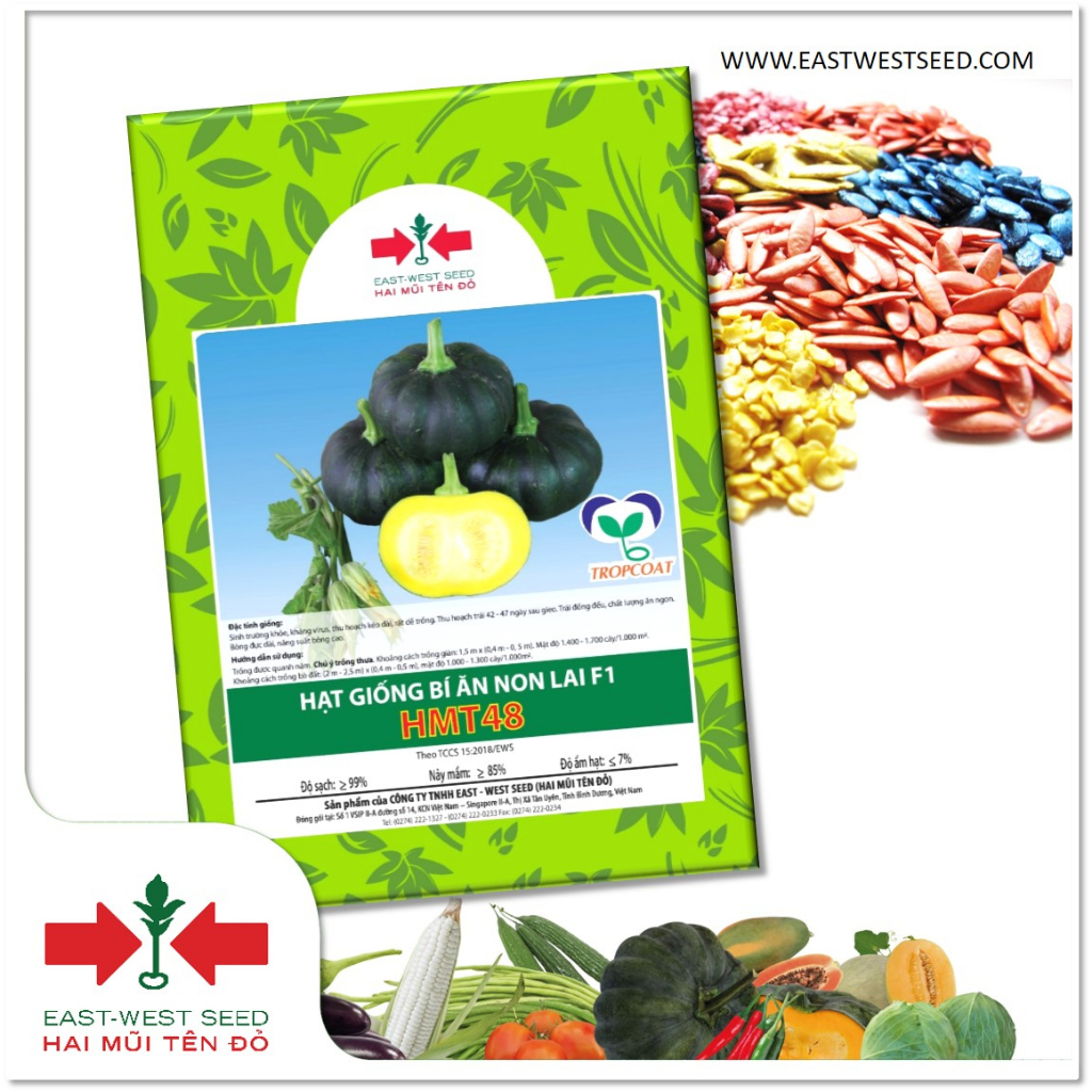 GÓI 100 HẠT GIỐNG LAI F1 BÍ ĐỎ ĂN NON HMT48 CỦA EAST-WEST SEED (HAI MŨI TÊN ĐỎ)