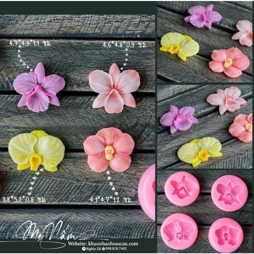 Set 4 khuôn hoa lan