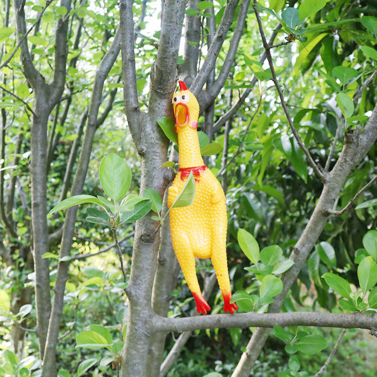 Gà A Lử - cỡ 41cm GÀ LA HÉT gà bóp kêu