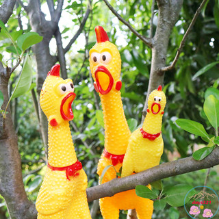 Gà bóp kêu Shrilling Chicken, gà A Lử 32cm