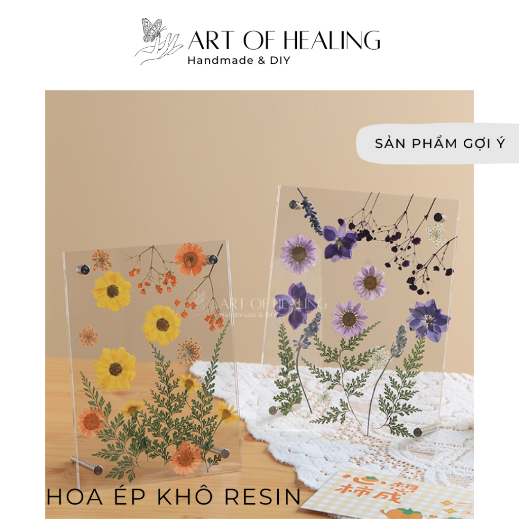 [AOH - Art of Healing] Set hoa ép khô các loại trang trí nến, resin, sổ tay, decor - 21 cánh (Lớn) - Handmade & DIY