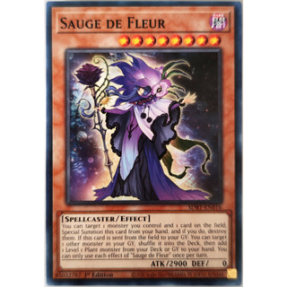 Sauge de fleur |en| common