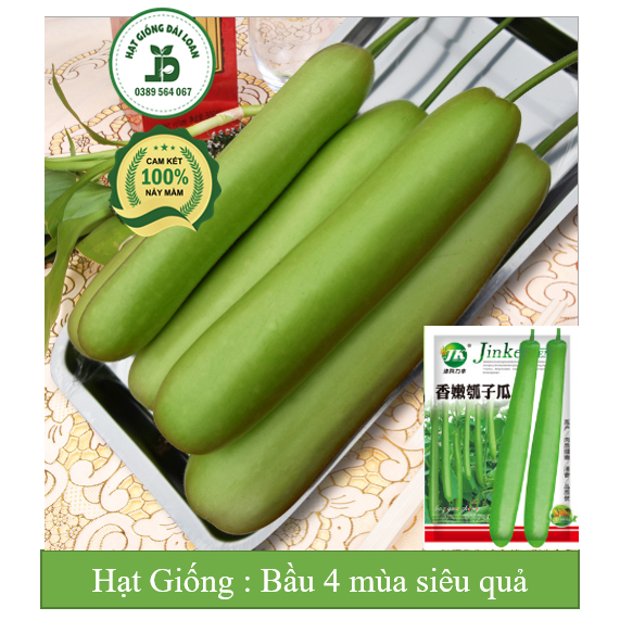 Hạt giống bầu 4 mùa Đài Loan