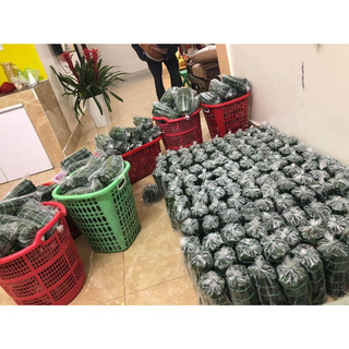 Nem Chua Đặc Biệt ( 10 cái 1 túi hút chân không)