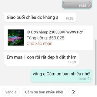 cá lóc vây xanh Ninh Bình (có bảo hành rủ ro) có full Size