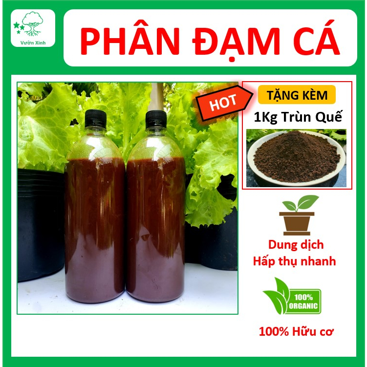 Phân Đạm Cá - Phân Cá Chuối Trứng Sữa - Không Mùi Hôi - Dùng Cho Rau Sạch, Cây Cảnh, Hoa Hồng, Hoa Lan - Chai 1 lít