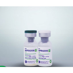 (Hoả tốc HN) Hướng dẫn tiêm vắc xin chó phòng 7 bệnh (tặng bơm kim tiêm)