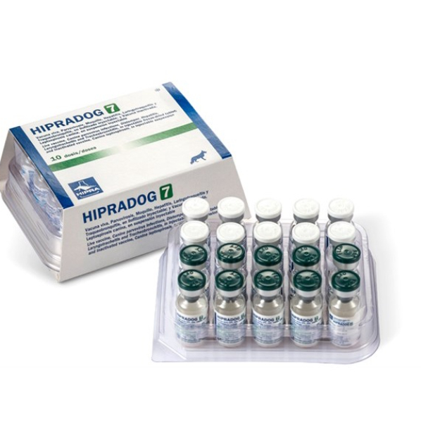 (Hoả tốc HN) Hướng dẫn tiêm vắc xin chó phòng 7 bệnh (tặng bơm kim tiêm)