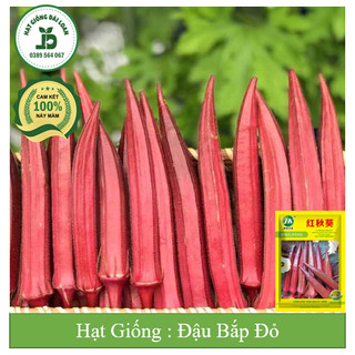 Hạt giống đậu bắp đỏ siêu trái Đài Loan