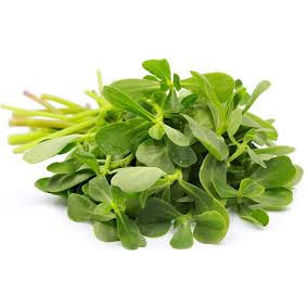 Hạt Giống Rau Sam - Sâm Đất 4 Mùa 0.5Gr