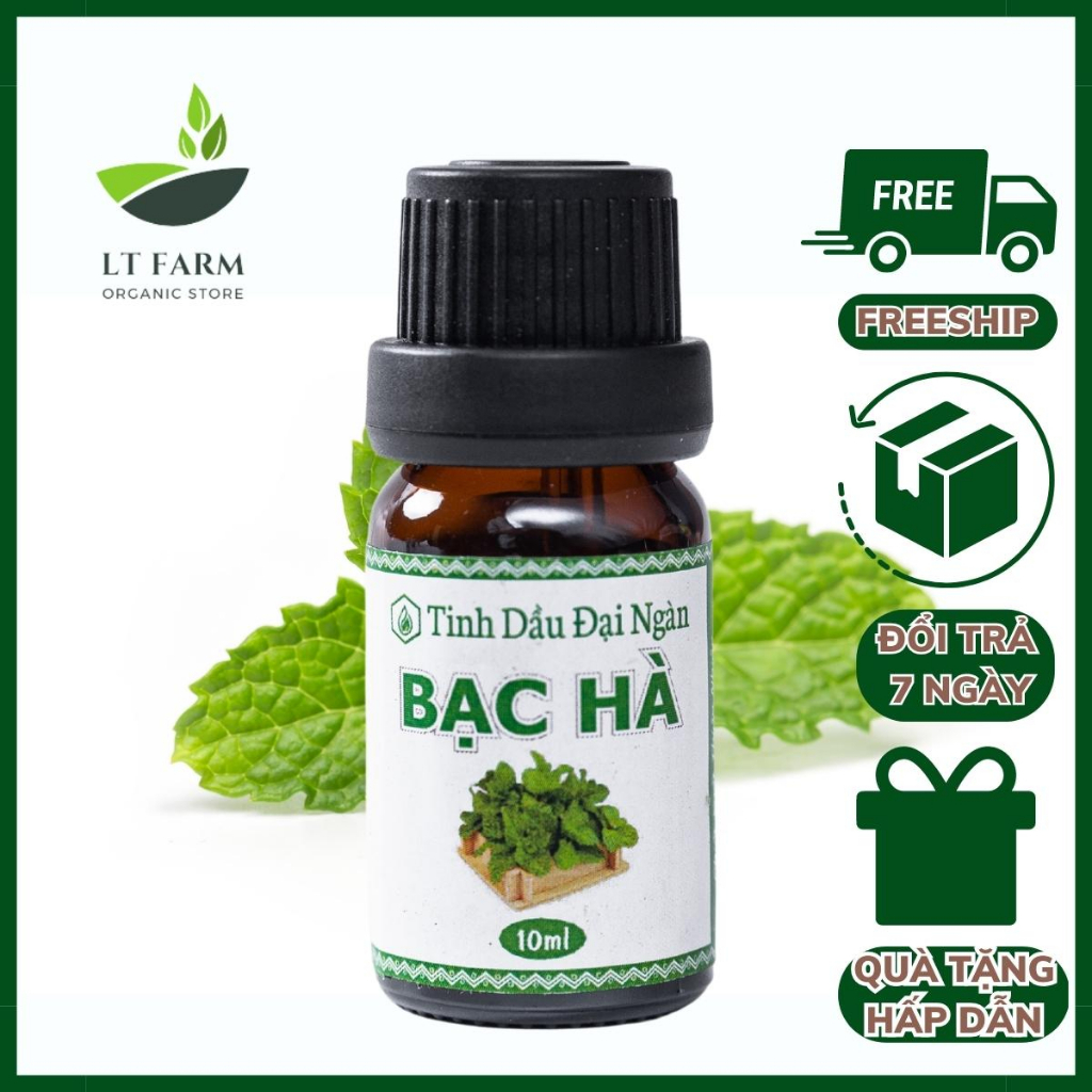 Tinh dầu bạc hà xông phòng ngủ thiên nhiên nguyên chất LT Farm 10ml đuổi chuột,xông tinh dầu phòng ngủ,làm nến