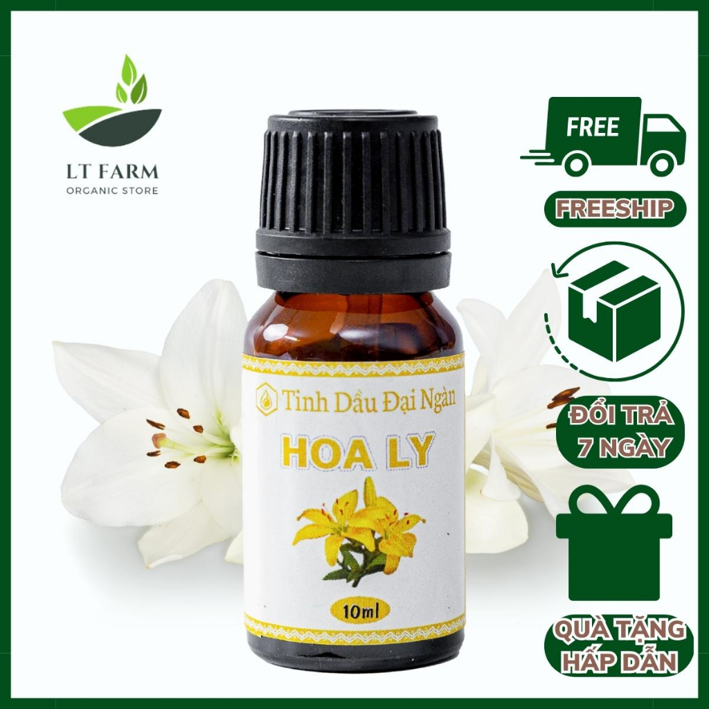 Tinh dầu xông phòng thiên nhiên hoa ly nguyên chất LT Farm 10ml làm nến thơm xông tinh dầu phòng ngủ
