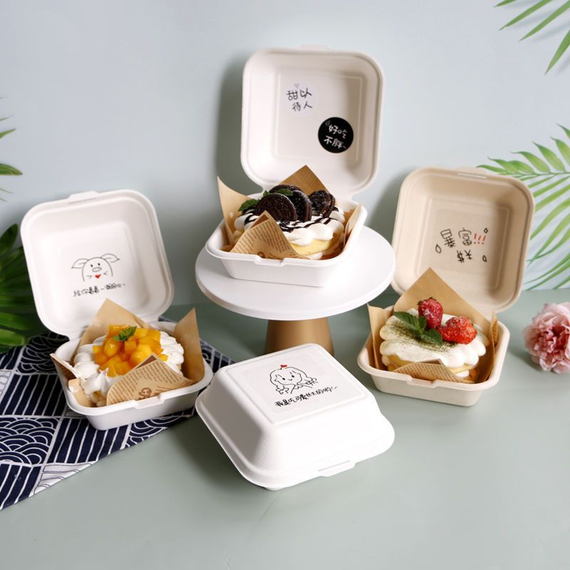 Hộp Bã Mía Đựng Bánh Kem Bento - Hộp Đựng Bánh Humburger,Tiramisu,Mousse