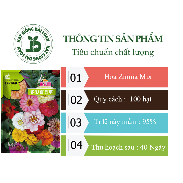 Hạt giống hoa Zinnia mix