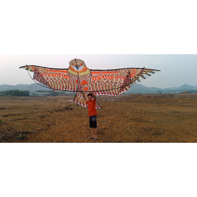 Diều hình đại sải cánh 1,4 - 6,5 mét.