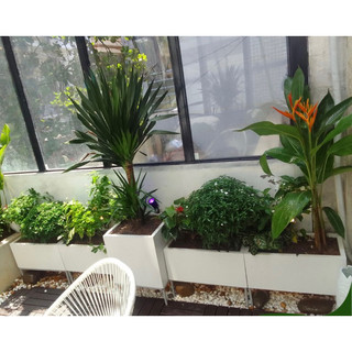 Chậu Trồng Cây Composite (mẫu chậu trơn)