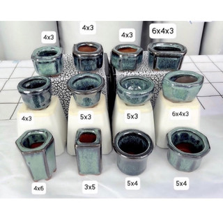 Chậu trồng cây mini trồng sen đá nhiều kiểu dáng