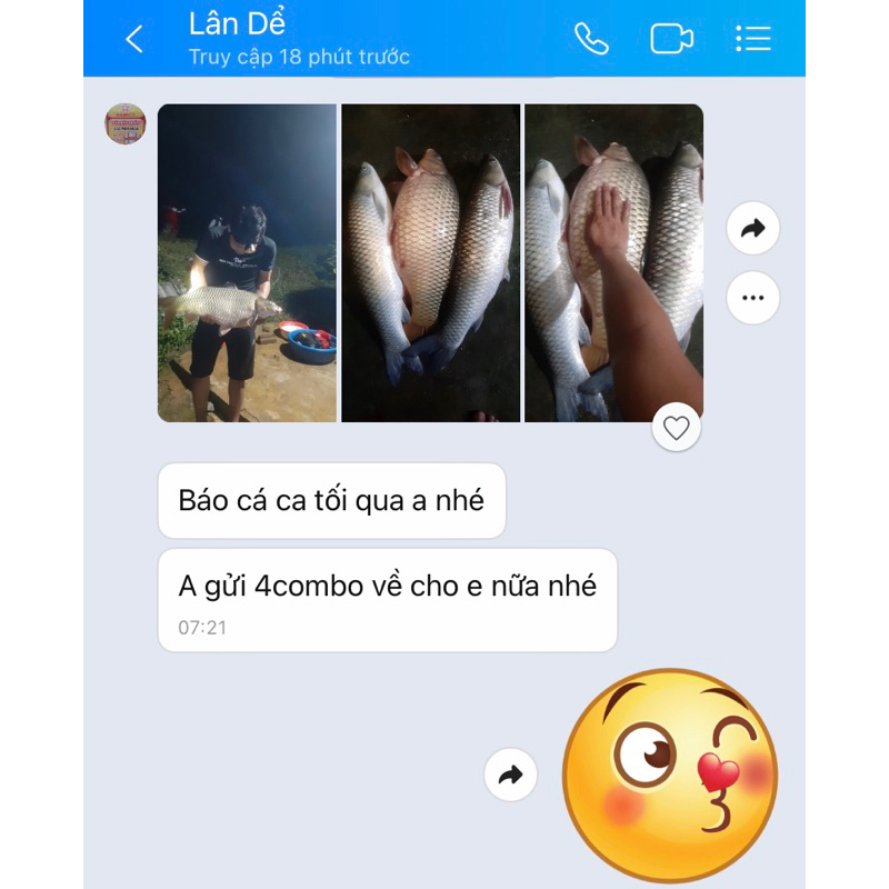 Mồi Câu Siêu Chép A34