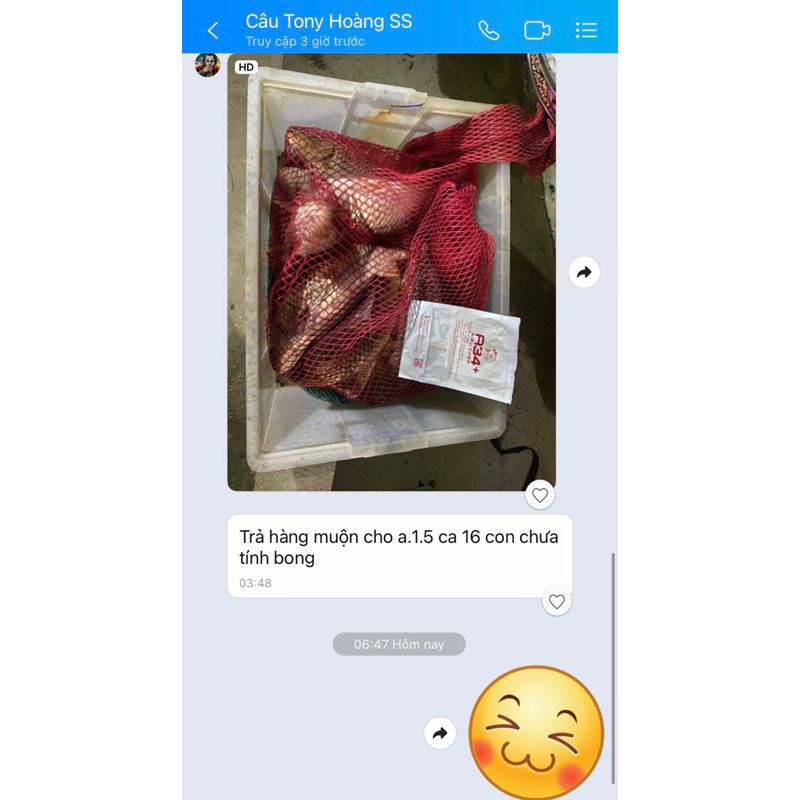 Mồi Câu Siêu Chép A34