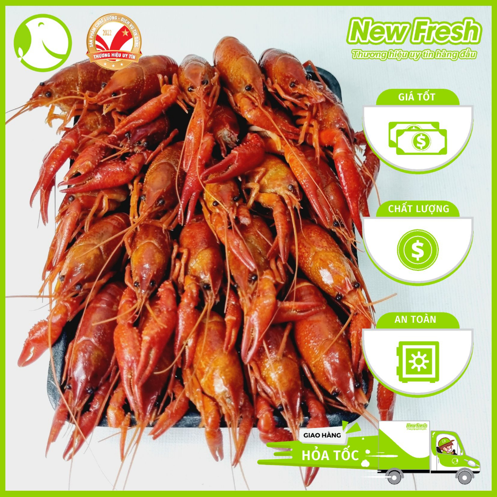 Tôm Hùm Đất Crawfish Size lớn - 2,5kg/túi