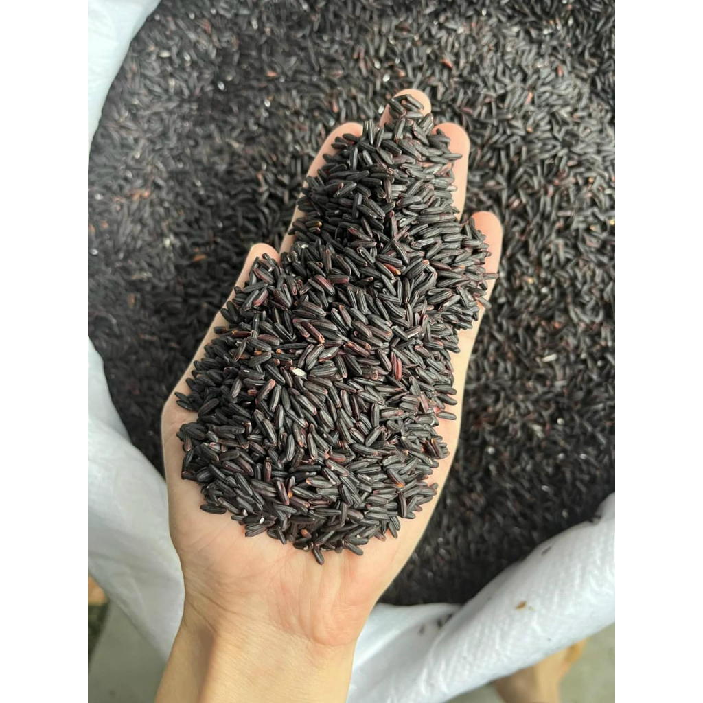BỘT GẠO LỨT ĐEN VÀ BỘT GẠO HUYẾT RỒNG