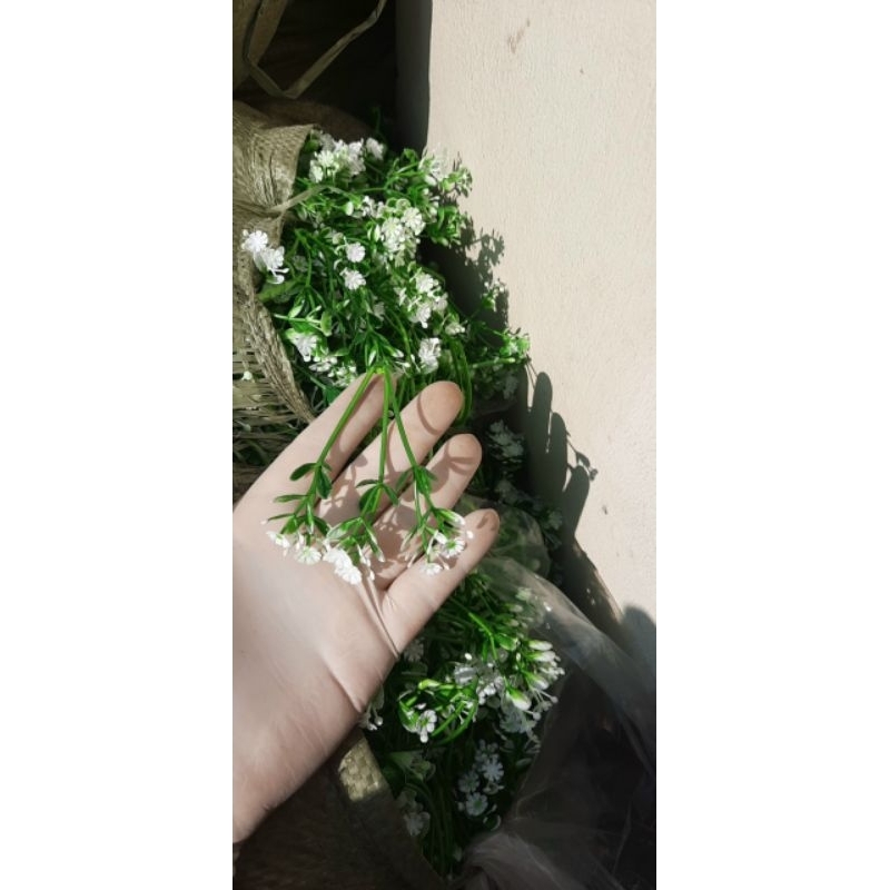 1 kg cỏ điểm ngẫu nhiên