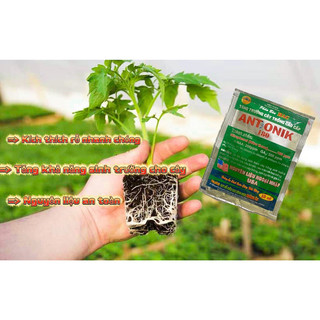 Antonik 180 Phân bón lá, thuốc kích sinh trưởng cây trồng 10ml