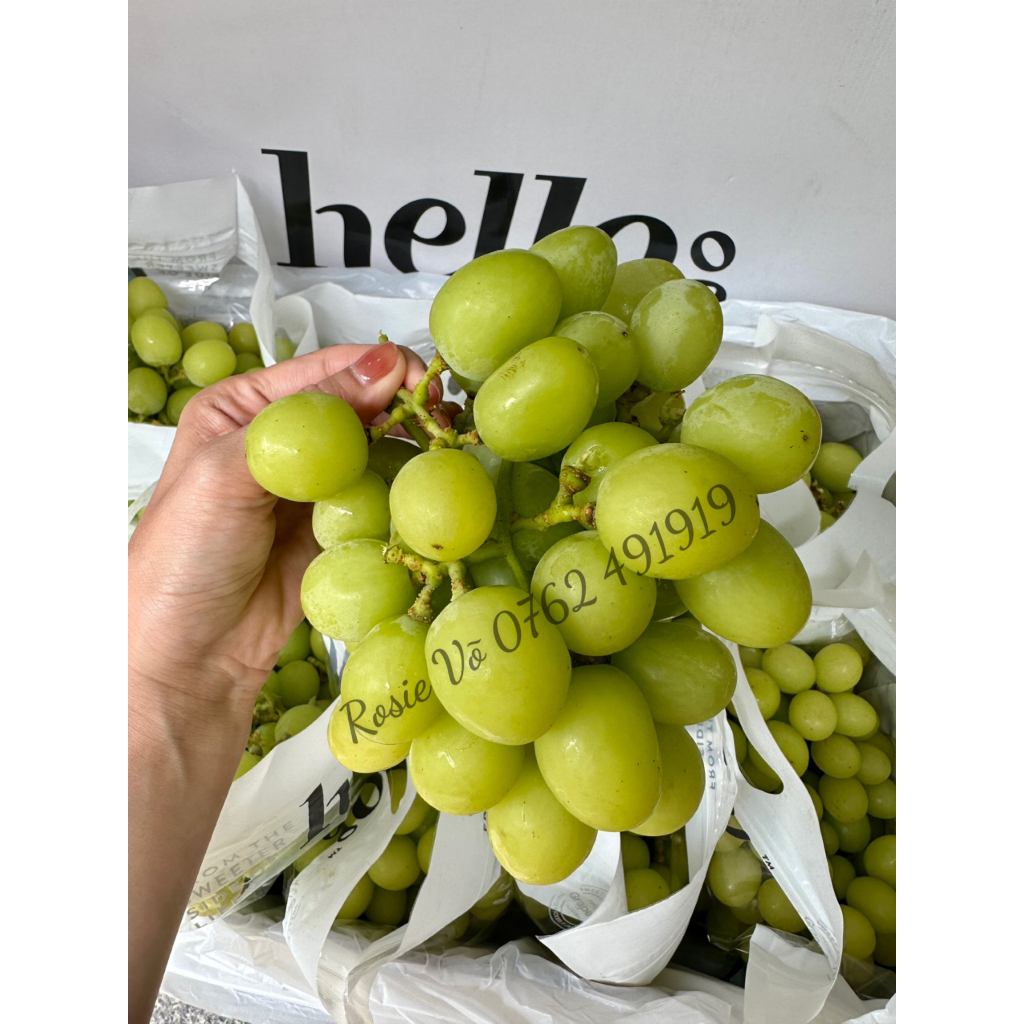 {Chỉ Giao Hỏa Tốc HCM} Nho Xanh Hello Úc 1kg - Giống Nho Không Hạt, Vỏ Xanh, Quả Nho To Đều, Giòn Ngọt, Mọng Nước