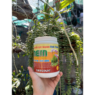 Ra rễ cực mạnh n3m _ vĩnh thành _ hủ 500g