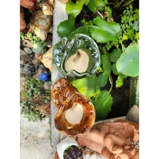 Chậu đất nung - chậu ếch tráng men