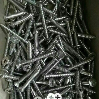 100 gr vít inox đầu bằng bắt nở nhựa