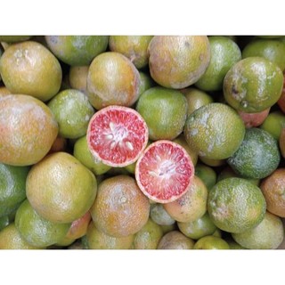 1 kg chanh đào hữu cơ nhà vườn