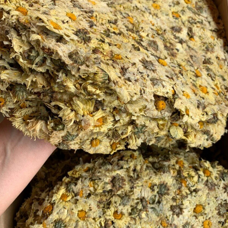 Bông cúc nguyên bánh nguyên chất