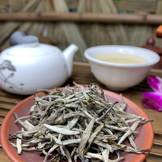 Bạch trà shan tuyết cổ thụ hà giang