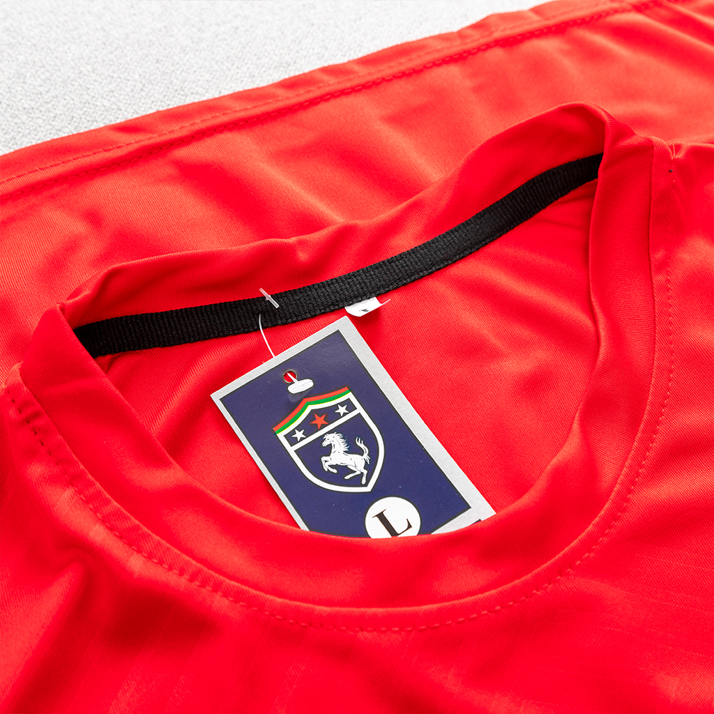 Áo thun nam thể thao ngắn tay cổ tròn đẹp thun lạnh cao cấp đập vân X24A