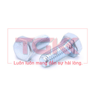 Bulong mạ kẽm M3