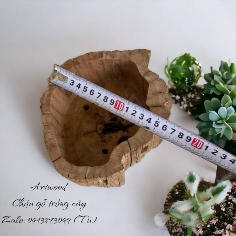 Chậu gỗ cọc lõi trồng sen đá, xương rồng, cây tiểu cảnh và hoá lan - Mang thiên nhiên vào không gian sống của bạn