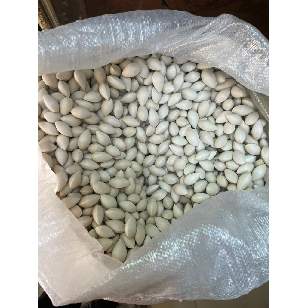 Bạch quả tươi nguyên hạt loại to 1kg
