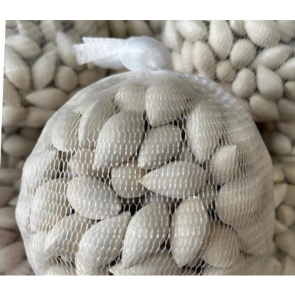 Bạch quả tươi nguyên hạt loại to 1kg