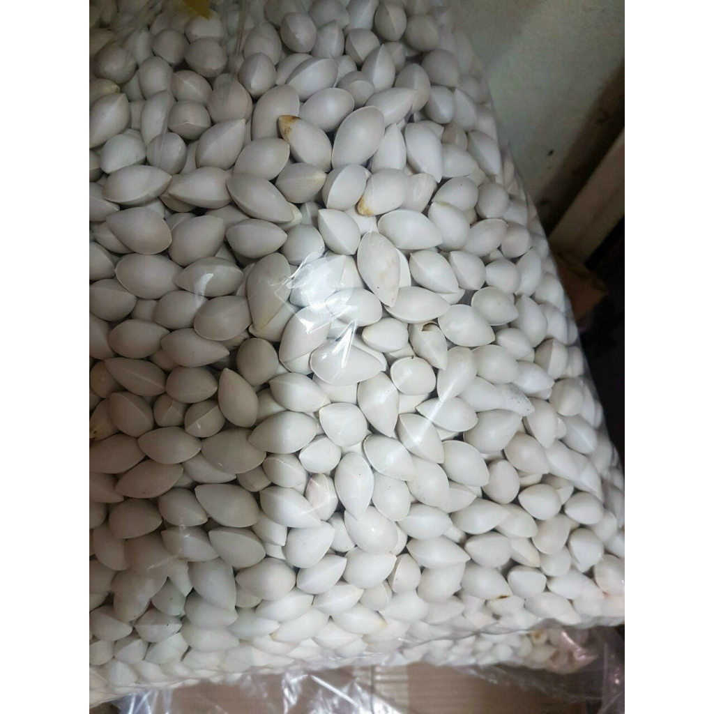 Bạch quả tươi nguyên hạt loại to 1kg