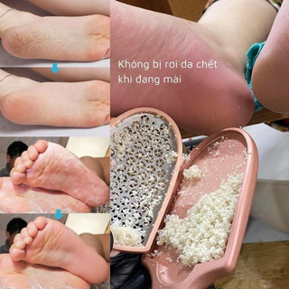 Cây chà gót