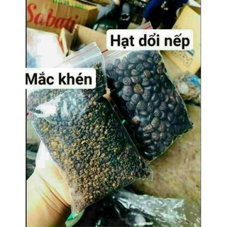 [Freeship] Hạt Dổi Tây Bắc ( Vàng Đen Của Núi Rừng )