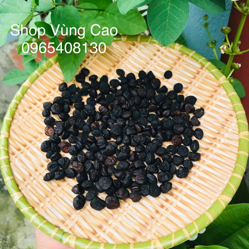 [Freeship] Hạt Dổi Tây Bắc ( Vàng Đen Của Núi Rừng )