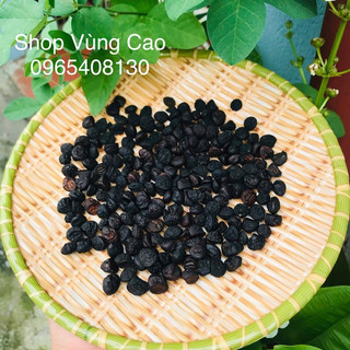 Hạt dổi tây bắc