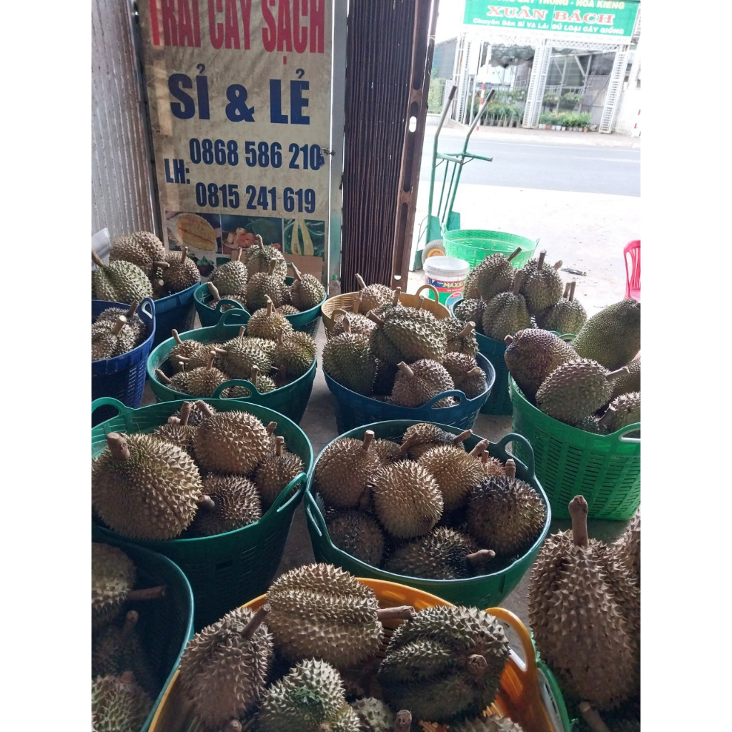 Cơm sầu riêng tách hạt dùng làm bánh hàng đông lạnh, giá/ kg