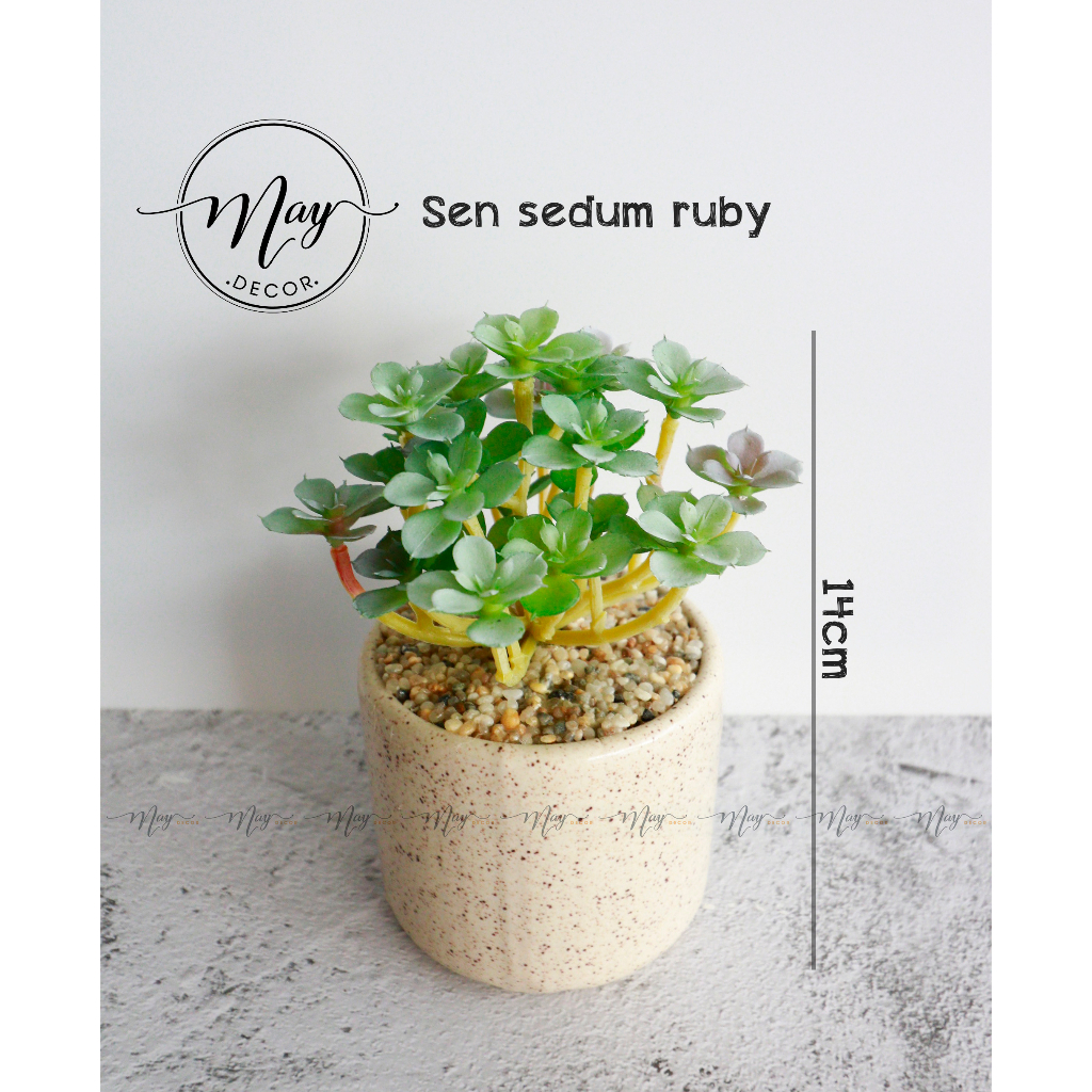 Cây giả,Sen đá tầng giả trang trí chậu vân gốm cát