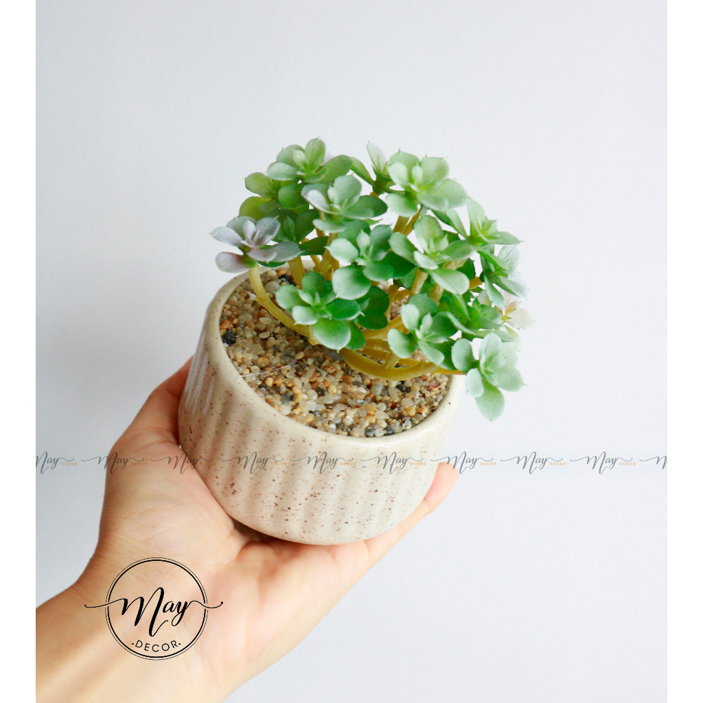 Cây giả,Sen đá tầng giả trang trí chậu vân gốm cát