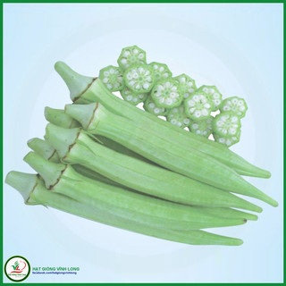 Hạt giống Đậu bắp cao sản Nam bộ TN 1