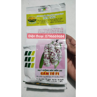 1 kg hạt giống bắp nếp cẩm tú trái to siêu dẻo